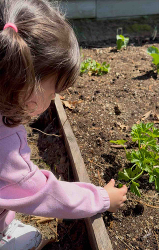 Photo of Regilene Fernandes - Uxbridge, MA