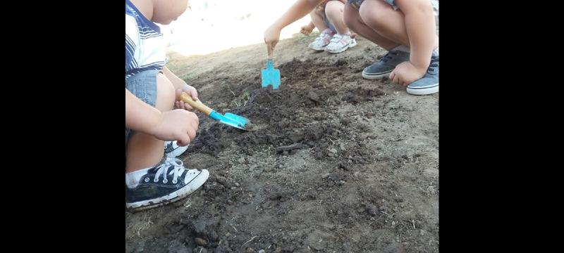 Photo of The Wild Ones: A Small Home Daycare - Alta Loma, CA