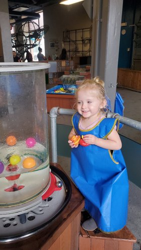 Photo of Madelyn B. - Daytona Beach, FL