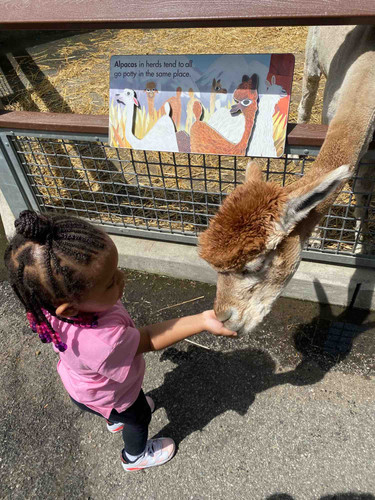 Photo of Tomorrow Future Daycare - Bronx, NY