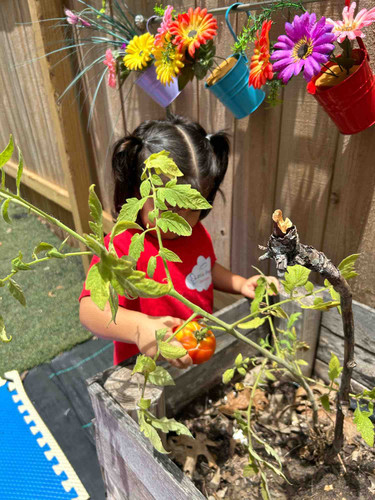 Photo of Little Angels Spanish Immersion - Round Rock, TX
