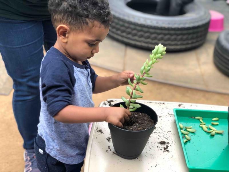 Photo of Happy Preschool Daycare - Los Angeles, CA