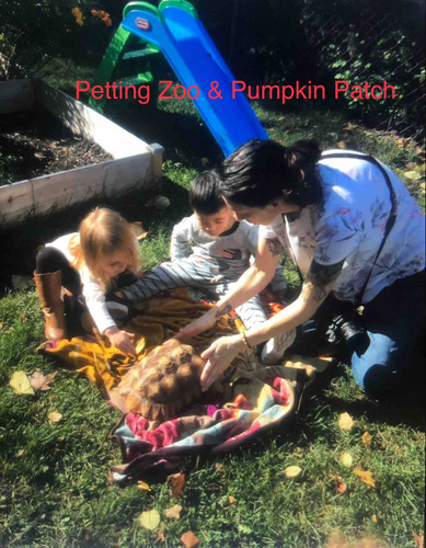 Photo of Labor Of Love Childcare, LLC - Mishawaka, IN