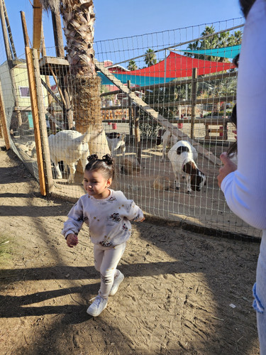 Photo of Beccas Buccaneers - Bakersfield, CA