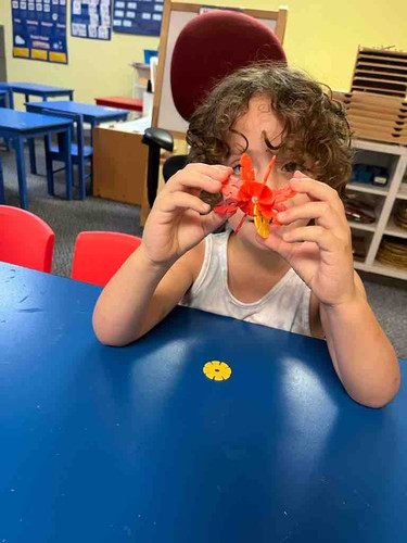 Photo of Little Ivies Montessori - Plano, TX