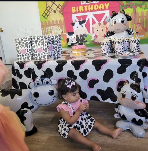 Photo of Lily Daycare - Lowell, MA