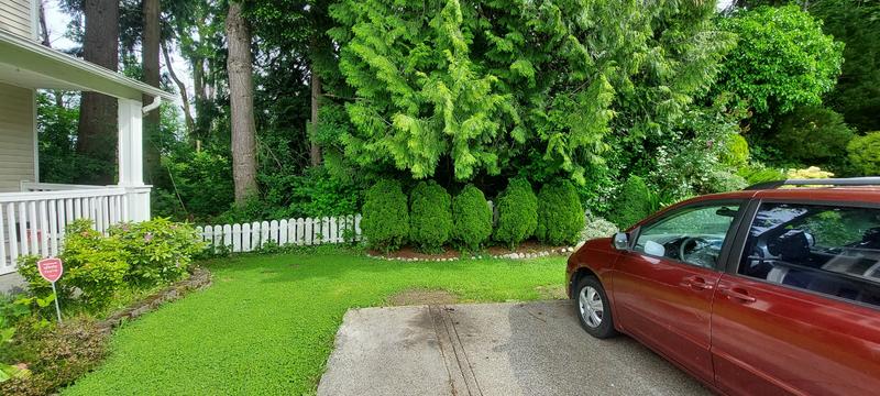 Photo of Al Nasar Home Daycare - Auburn, WA