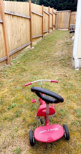 Photo of Kids Paradise Childcare - Renton, WA