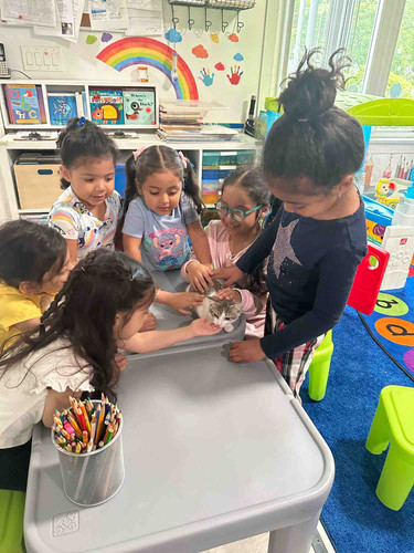 Photo of Loais Daycare INC Daycare - Uniondale, NY