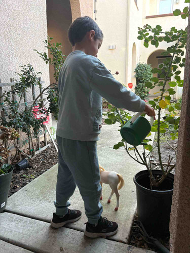 Photo of The Nest At Elk Grove - Elk Grove, CA