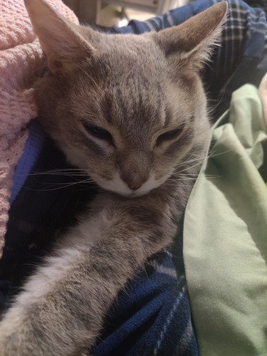 Photo of Lauren W. - North Bend, WA