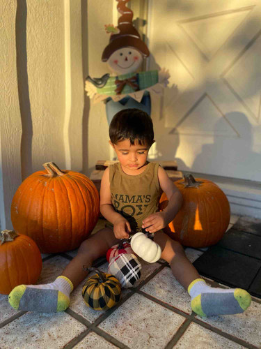 Photo of Miles of Miles Daycare - Cupertino, CA