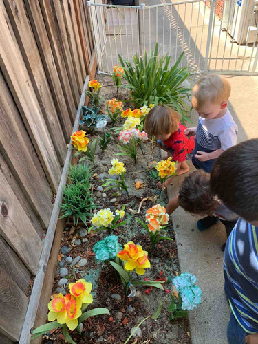 Photo of Little Star Daycare - Gilroy, CA