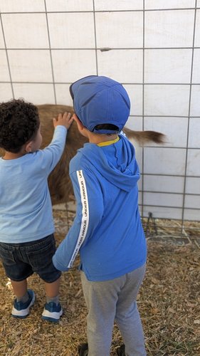 Photo of Pinwheel Family Child Care Daycare - San Ysidro, CA