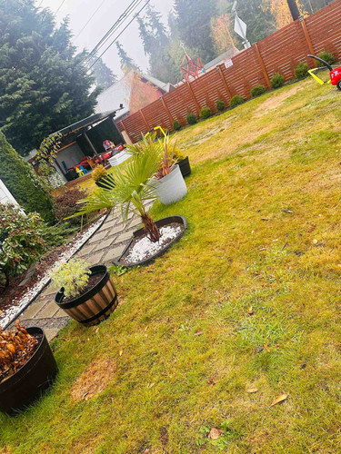 Photo of Benu’s Bright Beginning Daycare - Edmonds, WA