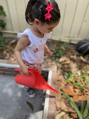 Photo of Contento Montessori Daycare - Chula Vista, CA