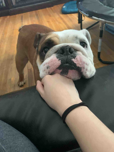 Photo of Mylani F. - Grand Forks, ND