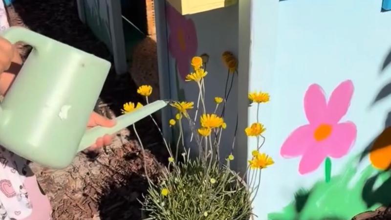 Photo of Wild Blooms Childcare - Chula Vista, CA