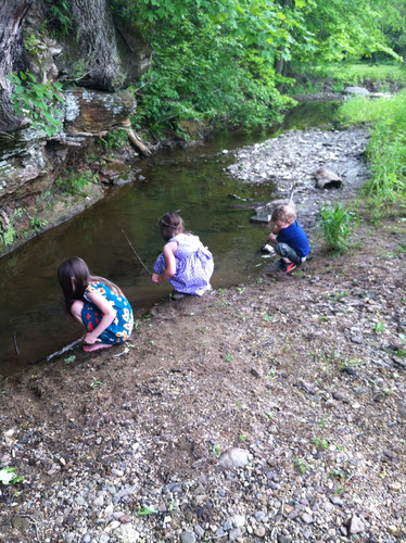 Photo of Amanda Lee S. - Vancouver, WA