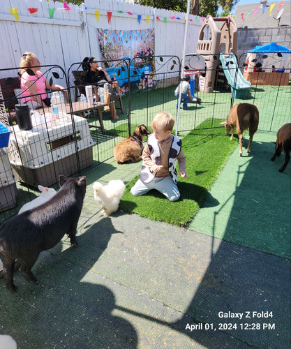 Photo of Melkonyan Family Child Care Daycare - Winnetka, CA