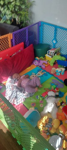 Photo of Donna's Kiddy Kare - Oakland, CA