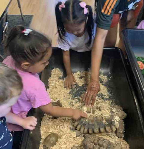 Photo of Brookside Academy - Murrieta, CA