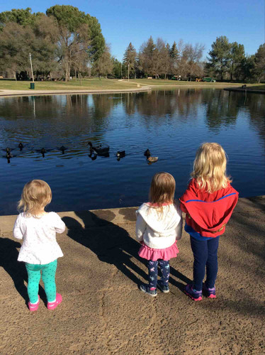 Photo of First Steps Early Education And Child Care - Rancho Cordova, CA