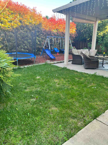 Photo of Amini Shaima - Citrus Heights, CA