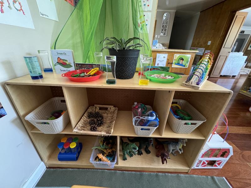 Photo of Tiny Ages Bilingual Daycare - Hollister, CA