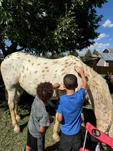 Photo of Little Wiggles Daycare - Elizabeth, CO