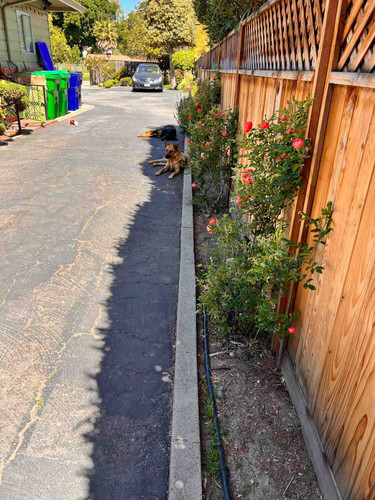 Photo of Cherryland Childcare Daycare - Hayward, CA