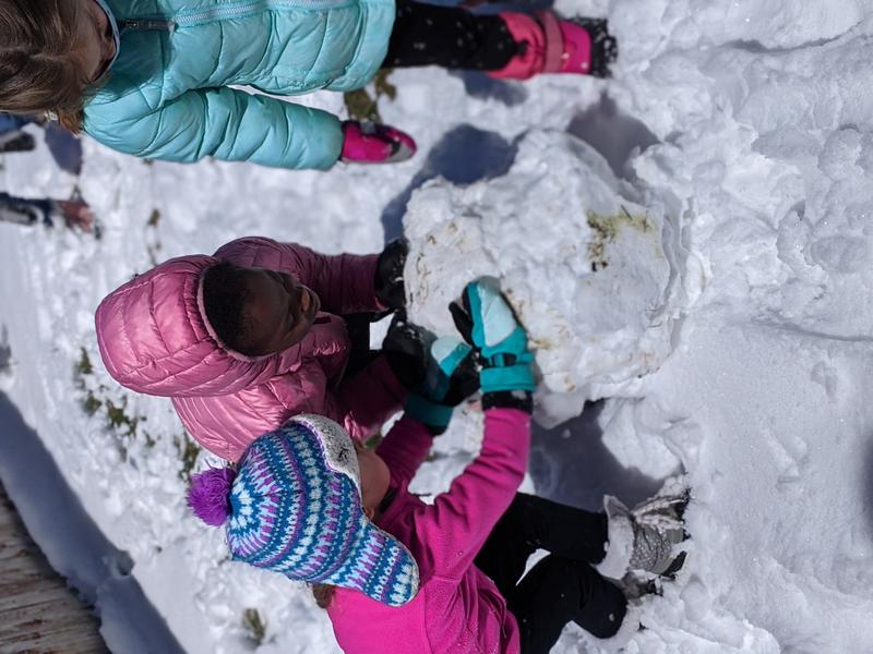 Photo of Elite Early Learning Program - Highlands Ranch, CO