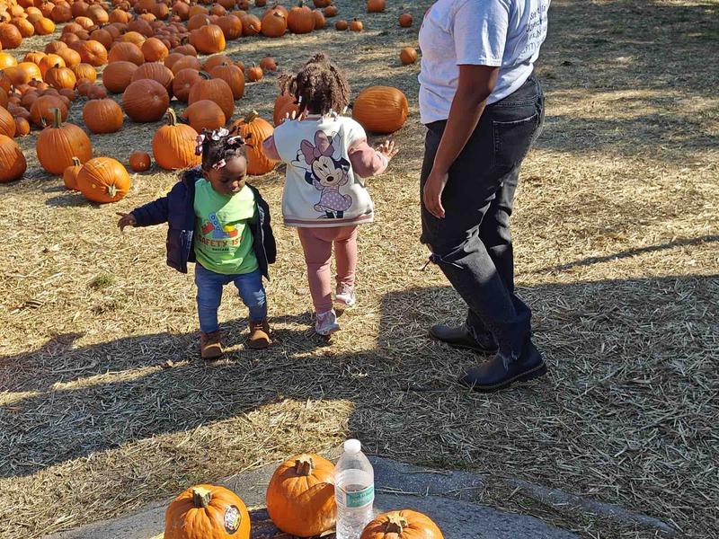 Photo of Safety 1st Daycare - Bronx, NY