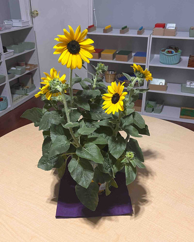 Photo of Harvest Christian Montessori Daycare - Paterson, NJ