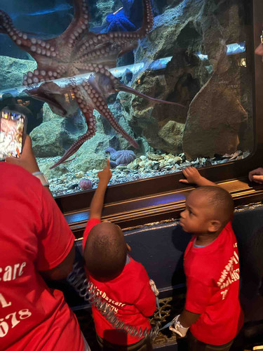 Photo of Annie Babies Daycare - Dolton, IL