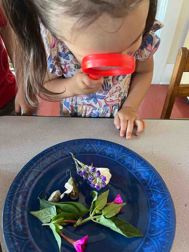 Photo of Sunny Wells Montessori Daycare - Pomona, CA