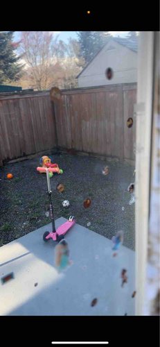 Photo of Play Baby Childcare Llc - Tukwila, WA