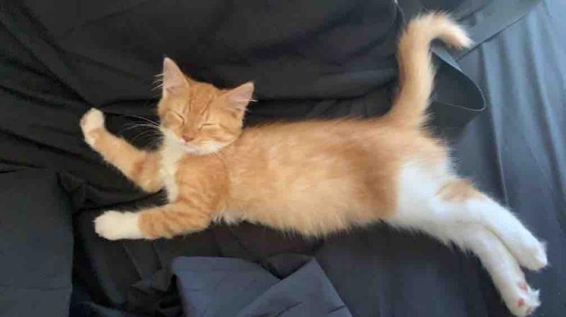 Photo of Jessica M. - Harker Heights, TX