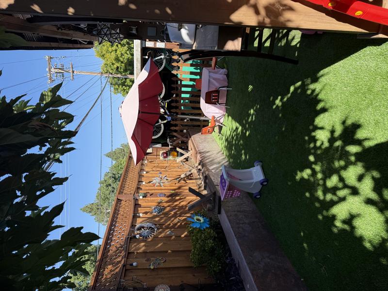 Photo of Tyny Translators