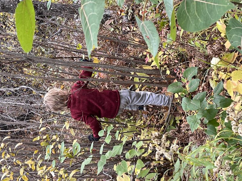 Photo of Wald Sprouts Daycare - Bloomington, MN