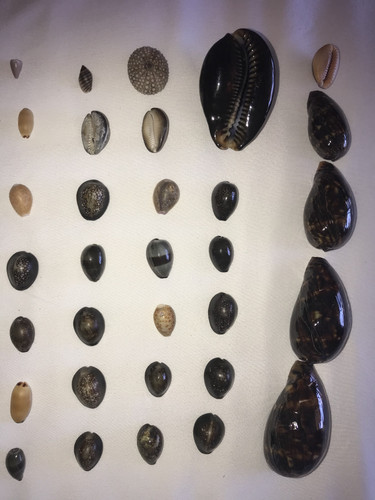 Photo of Ruth S. - Mequon, WI