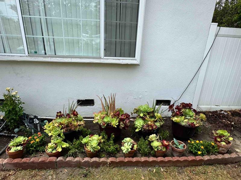 Photo of Busy Bee Daycare - Los Angeles, CA