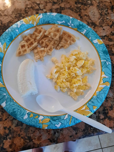 Photo of Little Sheep Of Jesus - Albany, NY