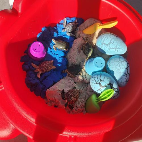 Photo of Safari Cubs Daycare - Antelope, CA