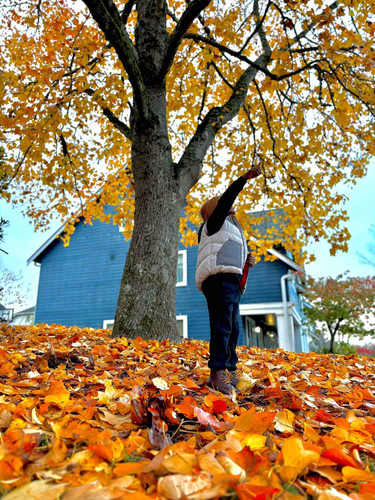 Photo of Little Hands Big Hearts - Seatlle, WA