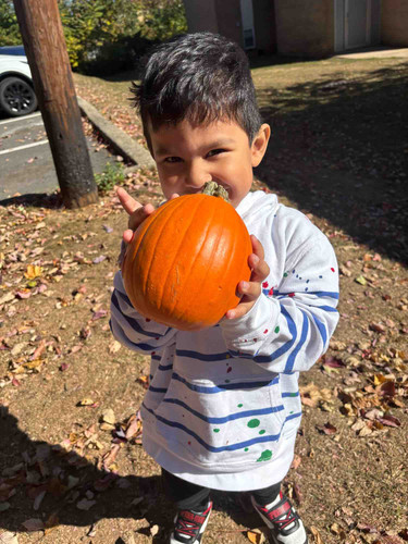 Photo of The Learning Treehouse Llc Daycare - New Brunswick, NJ