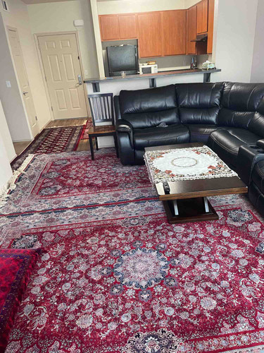 Photo of Manizha Hedayat - Folsom, CA