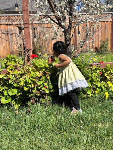 Photo of EverRose Daycare And Preschool - San Jose, CA