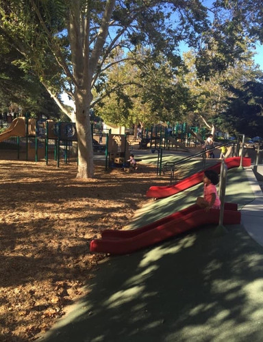 Photo of 白天鹅双语学习中心日托中心 - 库比蒂诺, CA