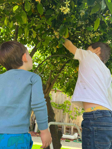 Photo of Cativar Daycare - San Bruno, CA